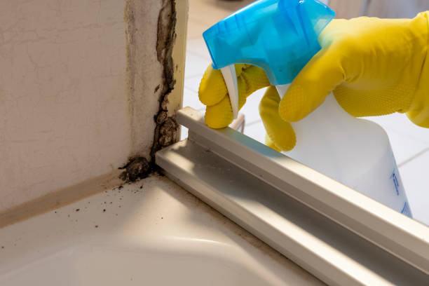 Best Mold Remediation for Healthcare Facilities  in Montague, CA